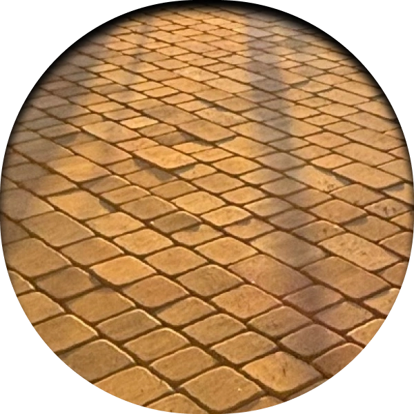 Icon VenicePaversAndLandscape SinkingPavers Venice, FL